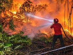 HLG Londerang Jambi Kembali Terbakar, 142 Personel-Waterbombing Dikerahkan