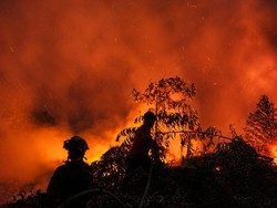 Karhutla Jambi Meluas, KKI Warsi Catat Telah Capai 20,8 Ribu Hektare