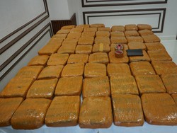 Polda Metro Gagalkan Peredaran Narkoba di Jakbar, Sita 62,5 Kg Ganja