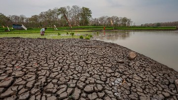 Apa Itu Fenomena El Nino Sangat Kuat yang Disebut-sebut BMKG?