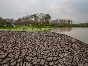 Apa Itu Fenomena El Nino Sangat Kuat yang Disebut-sebut BMKG?