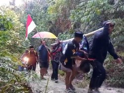 Ibu Muda di Mamasa Melahirkan Darurat Usai Ditandu 6 Km