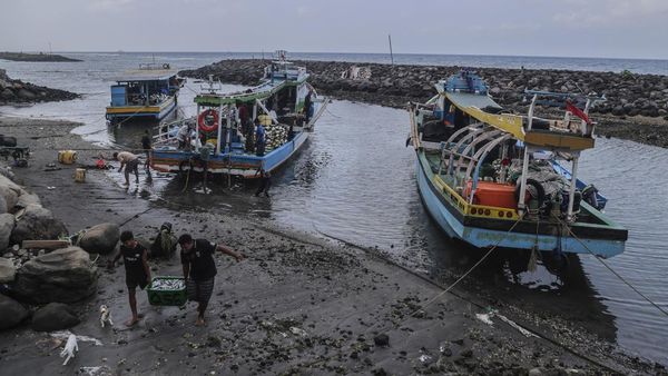 Aktivitas Nelayan Ternate di Tengah Rencana Modernisasi Armada Perikanan