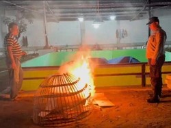 Polisi Gerebek 2 Lokasi Diduga Arena Judi Sabung Ayam di Sidoarjo