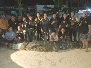Buaya 4,4 Meter Ditangkap Usai Terkam Warga Sangatta