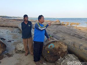 Ratusan Kayu Gelondongan Terdampar di Pesisir Sumenep