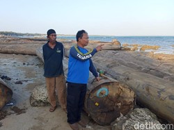 Ratusan Kayu Gelondongan Terdampar di Pesisir Sumenep