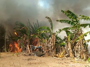 TPST Kedungrandu Banyumas Terbakar Siang Ini