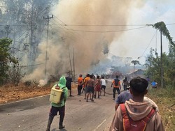 Karhutla di Poso Meluas Hanguskan 2 Rumah Warga