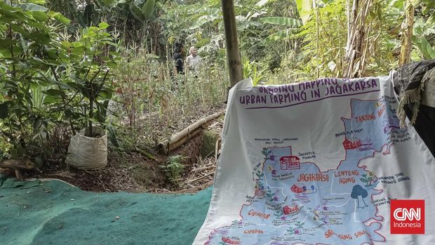 Kebun Pojok Aselih, bagian dari Majelis Sayur Jagakarsa