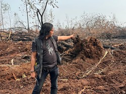 Sudah Direhabilitasi, HLG Londerang Jambi Terbakar Lagi