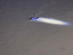 Mobil Terjun ke Sungai di Langkat, 3 Orang Tewas