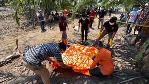 Kakek Hilang Sepekan Ditemukan Tewas di Kebun Sawit Mateng