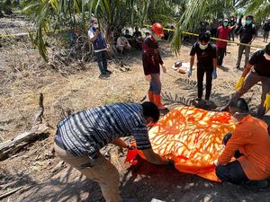 Kakek Hilang Sepekan Ditemukan Tewas di Kebun Sawit Mateng