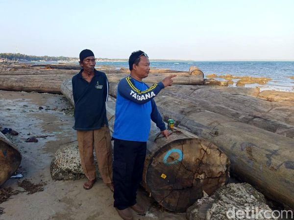 Potret Ratusan Kayu Gelondongan Terdampar di Pantai Sumenep
