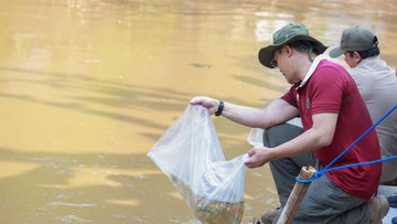 Dukung Program ASRI, Gerindra Tanam Pohon hingga Bersihkan Sungai di Jakarta