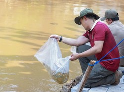 Dukung Program ASRI, Gerindra Tanam Pohon hingga Bersihkan Sungai di Jakarta