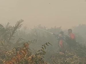 Video Momen Heroik Petugas Tembus Asap Tebal Padamkan Karhutla di Jambi