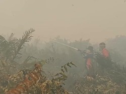 Satgas Optimalkan Pemadaman 3 Titik Karhutla di Tanjabtim Jambi
