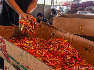 Cabai Rawit-Daging Ayam Jadi Biang Kerok Inflasi RI