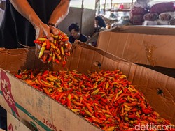 Cabai Rawit-Daging Ayam Jadi Biang Kerok Inflasi RI