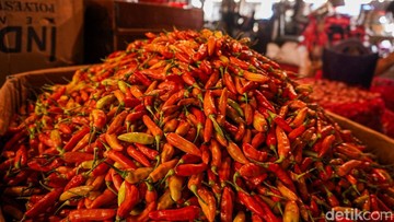 Harga Cabai Rawit Masih Mahal, Tembus Rp 102 Ribu/Kg! - Infolitik