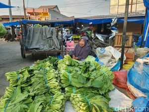 Harga Sayuran di Polman Naik 2 Kali Lipat Imbas Kemarau
