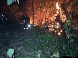 Karhutla 100 Ha di Polman 5 Hari Belum Padam, 2 Mobil Damkar Rusak
