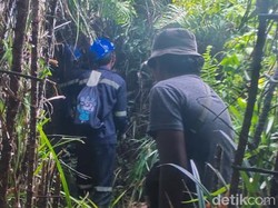 Pekerja Topografi Seismik Tarakan Protes Kerja Tanpa Kontrak, PT TUB Buka Suara