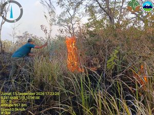 14 Ribu Hektare TN Tambora Terbakar, Siapa Dalangnya?