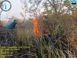 14 Ribu Hektare TN Tambora Terbakar, Siapa Dalangnya?