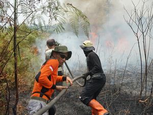 PT REKI Hormati Proses Hukum Kasus Karhutla di Area Konsesinya