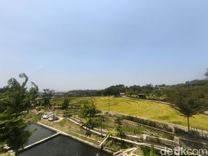 Sensasi Nongkrong Menikmati Panorama Sawah dan Lampu Kota Kuningan