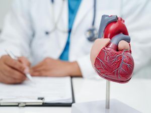 Kerap Tak Disadari, Dokter Sebut Penuaan Jantung Dimulai Usia 30-an