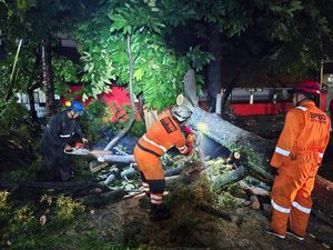 Hujan Deras, Pohon Tumbang di 3 Titik Bogor Timpa Pagar Sekolah-Tutup Jalan
