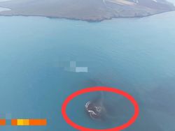 Video Kok Bisa Ada Daratan Baru Dekat Anak Krakatau? Ini Kata Badan Geologi