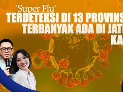 Super Flu Terdeteksi di 13 Provinsi RI, Terbanyak Ada di Jatim & Kalsel
