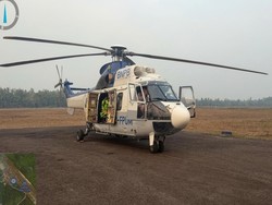 Helikopter Water Bombing Prioritaskan TNTP, Habitat Satwa Dilindungi