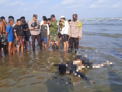 Basarnas Pastikan Temuan Jenazah di Kotabaru Bukan Korban Kapal Virgo