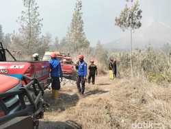 Sempat Padam, Titik Api Kembali Muncul di Hutan Lereng Merapi