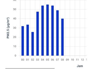 Kualitas Udara Palembang Membaik Dampak Hujan, PM2.5 Tak Sampai 55,4