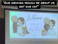 Unik dan Menggemaskan, Intip Momen Pernikahan Viral Berkonsep Serba Kucing