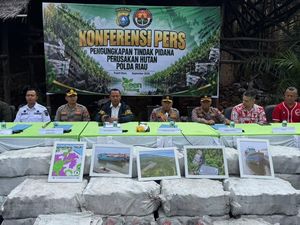 Polda Riau Bongkar Pabrik Arang Bakau Ilegal di Pulau Rupat, 114 Ton Disita