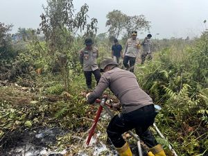Petugas Temukan Lahan Bekas Terbakar Ditanami Jagung di TNBS