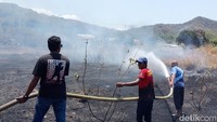 Kebakaran Lahan di Larantuka, Asap Pekat Ganggu Aktivitas Sekolah