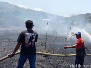 Kebakaran Lahan di Larantuka, Asap Pekat Ganggu Aktivitas Sekolah