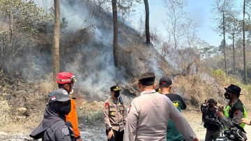 Kebakaran 60 Hektare Lahan Hutan di Lereng Merapi Akhirnya Padam