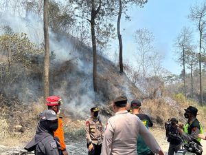 Kebakaran 60 Hektare Lahan Hutan di Lereng Merapi Akhirnya Padam