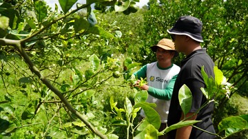 Kisah Alumni Prasetiya Mulya Bangun Agribisnis &amp; Berdayakan Warga Desa