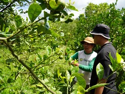 Kisah Alumni Prasetiya Mulya Bangun Agribisnis & Berdayakan Warga Desa